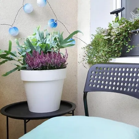 Appartement Apartament Sloneczny Gdynia